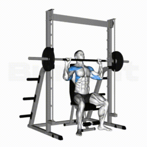 Smith Machine For Gym
