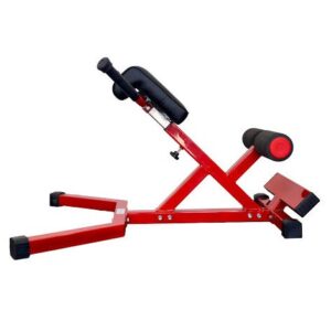 HyperExtension Bench For Back